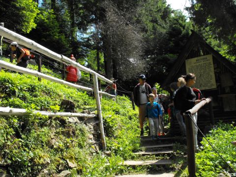Wycieczka w Masyw Śnieżnika s17 - PTTK Strzelin
