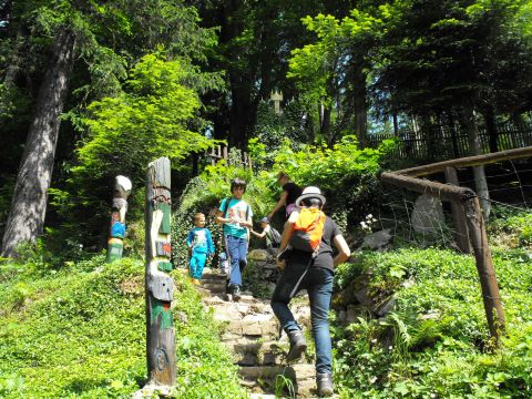 Wycieczka w Masyw Śnieżnika s18 - PTTK Strzelin