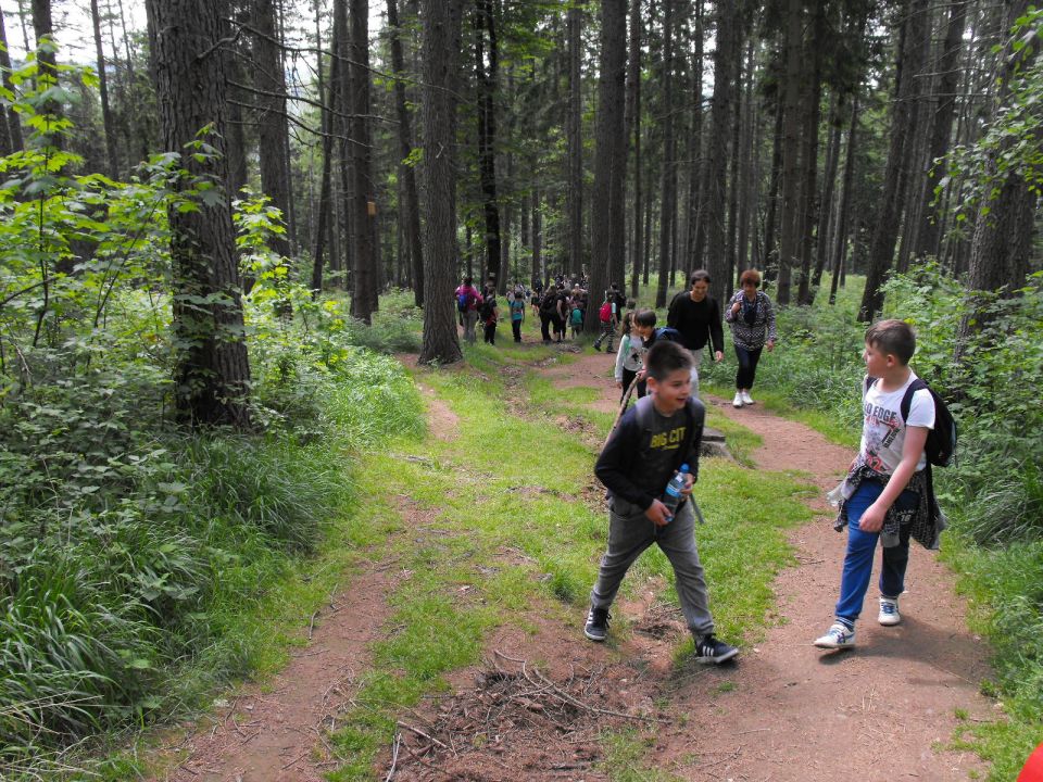 Wycieczka w Masyw Śnieżnika s003 - PTTK Strzelin
