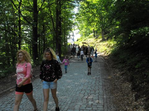 Wycieczka w Masyw Śnieżnika s44 - PTTK Strzelin