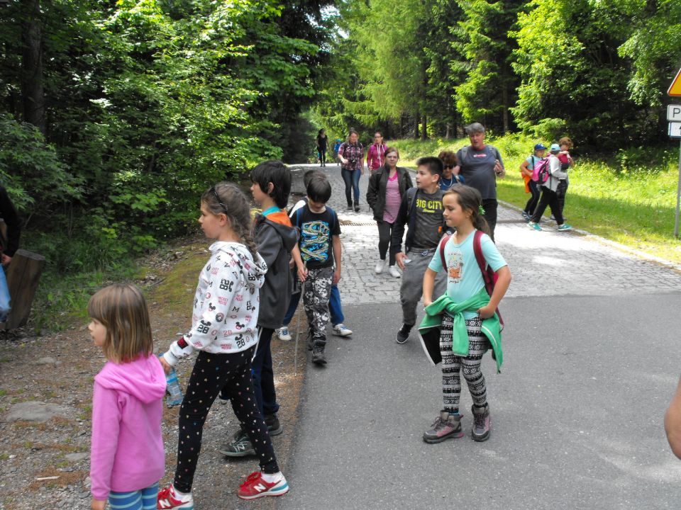 Wycieczka w Masyw Śnieżnika s003 - PTTK Strzelin