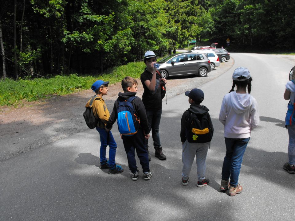 Wycieczka w Masyw Śnieżnika s003 - PTTK Strzelin