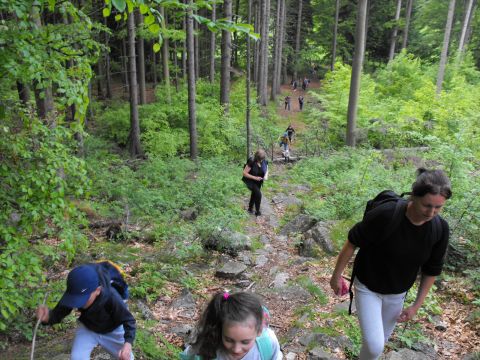 Wycieczka w Masyw Śnieżnika s50 - PTTK Strzelin