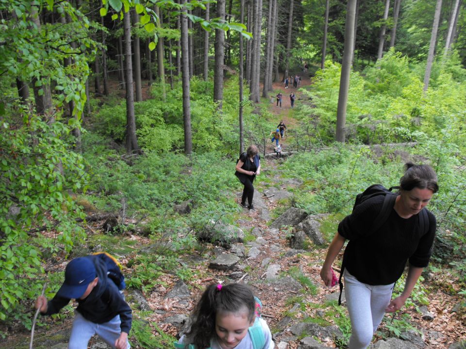 Wycieczka w Masyw Śnieżnika s003 - PTTK Strzelin