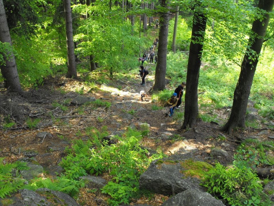 Wycieczka w Masyw Śnieżnika s003 - PTTK Strzelin