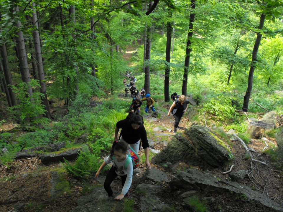 Wycieczka w Masyw Śnieżnika s003 - PTTK Strzelin
