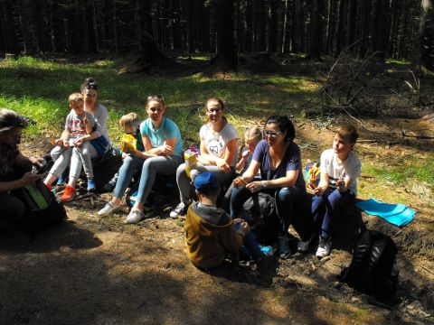 Wycieczka w Masyw Śnieżnika s53 - PTTK Strzelin