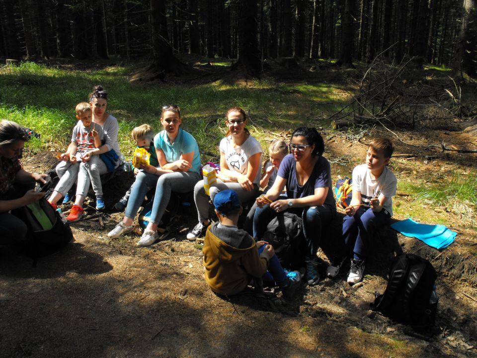 Wycieczka w Masyw Śnieżnika s003 - PTTK Strzelin