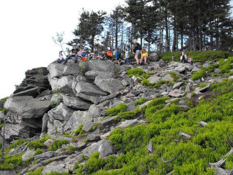 Wycieczka w Masyw Śnieżnika s58 - PTTK Strzelin