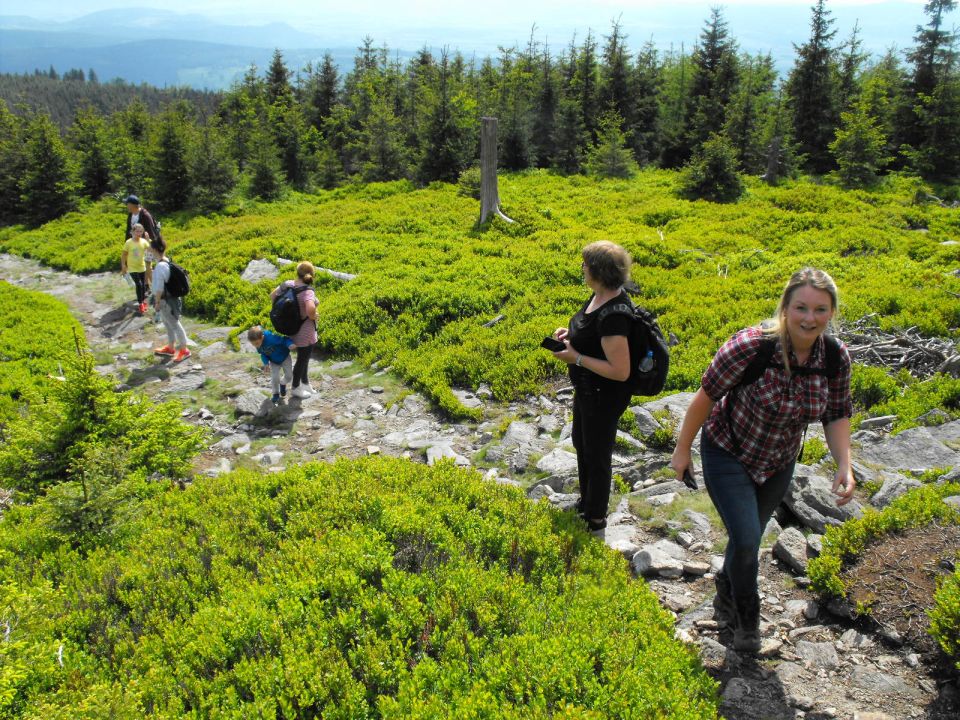 Wycieczka w Masyw Śnieżnika s003 - PTTK Strzelin
