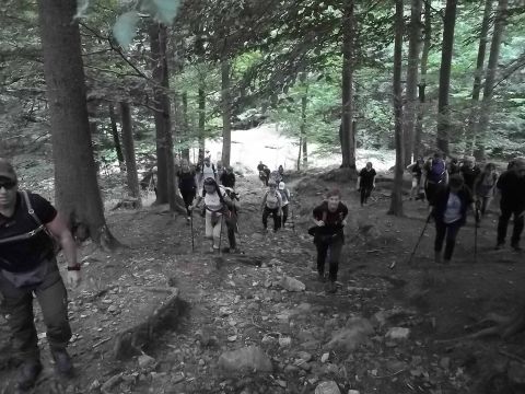 Wycieczka w Masyw Śnieżnika s10 - PTTK Strzelin