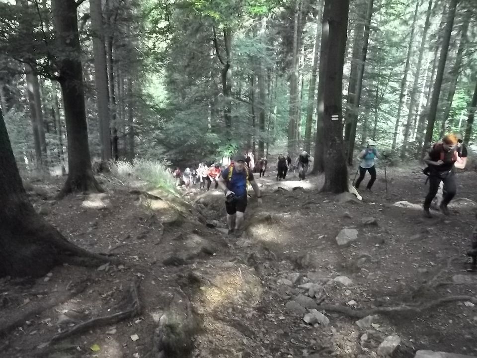 Wycieczka w Masyw Śnieżnika s003 - PTTK Strzelin