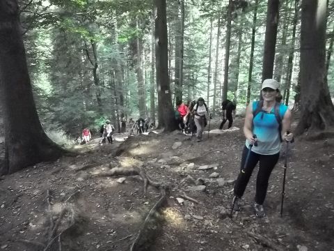 Wycieczka w Masyw Śnieżnika s13 - PTTK Strzelin