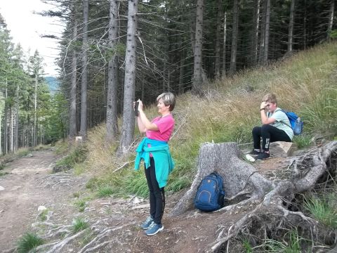 Wycieczka w Masyw Śnieżnika s20 - PTTK Strzelin