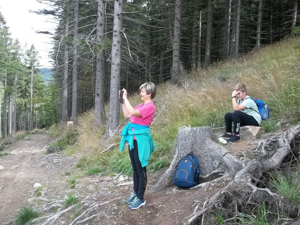 Wycieczka w Masyw Śnieżnika s003 - PTTK Strzelin