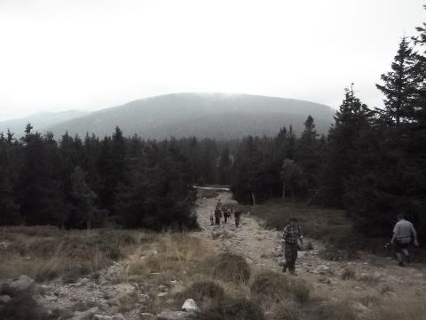 Wycieczka w Masyw Śnieżnika s64 - PTTK Strzelin