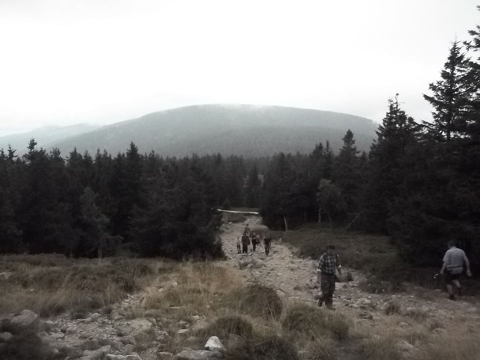 Wycieczka w Masyw Śnieżnika s003 - PTTK Strzelin