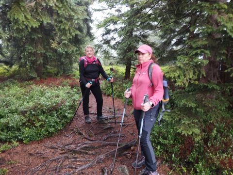 Wycieczka w Masyw Śnieżnika s19 - PTTK Strzelin