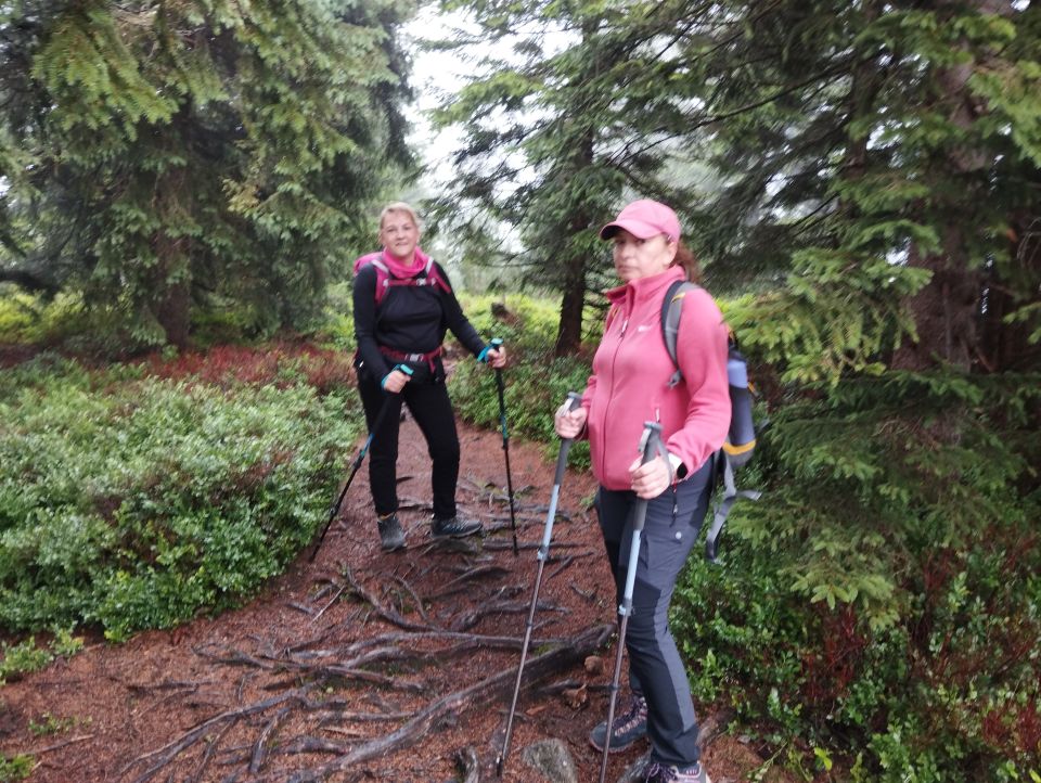 Wycieczka w Masyw Śnieżnika s003 - PTTK Strzelin