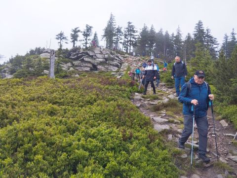 Wycieczka w Masyw Śnieżnika s32 - PTTK Strzelin
