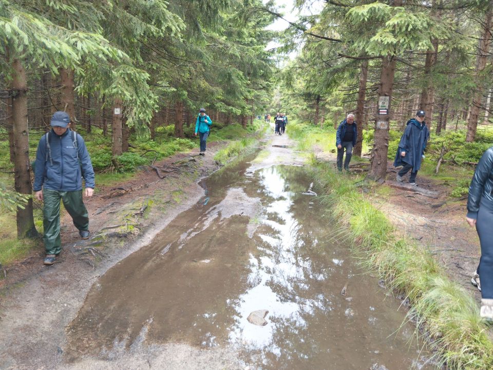 Wycieczka w Masyw Śnieżnika s003 - PTTK Strzelin