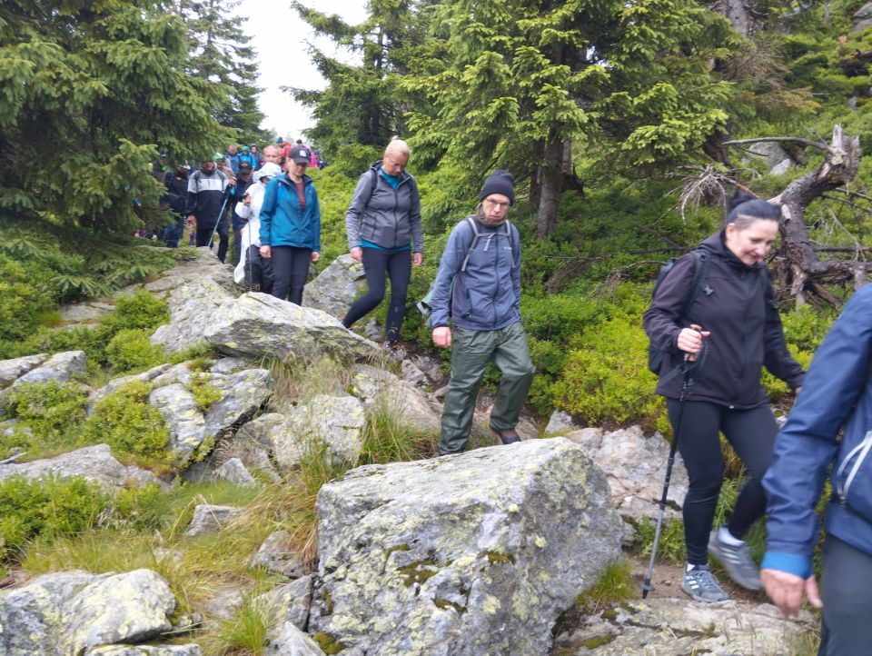 Wycieczka w Masyw Śnieżnika s003 - PTTK Strzelin