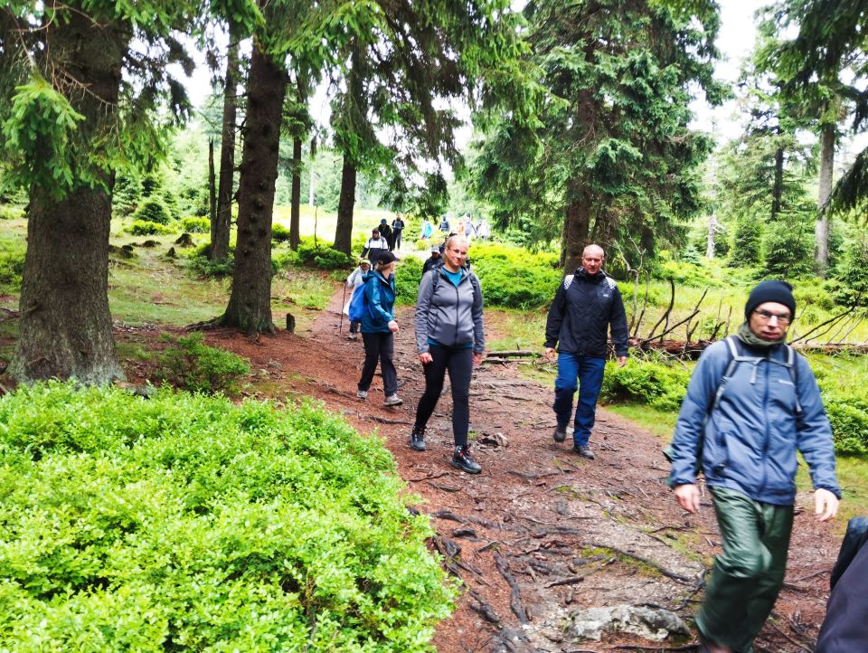 Wycieczka w Masyw Śnieżnika s003 - PTTK Strzelin