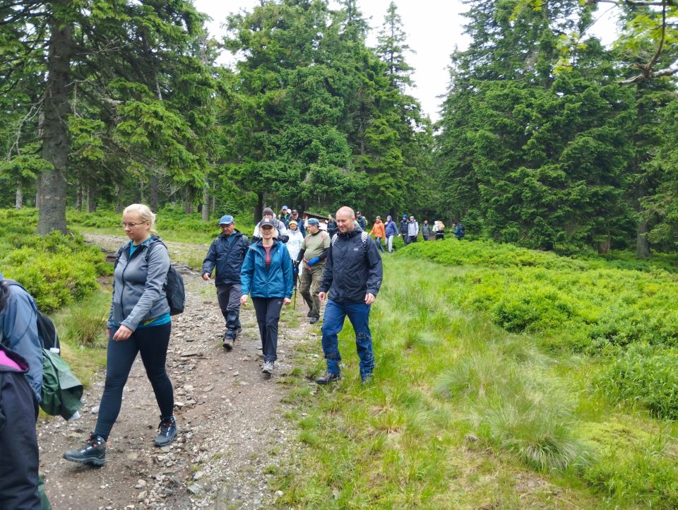 Wycieczka w Masyw Śnieżnika s003 - PTTK Strzelin