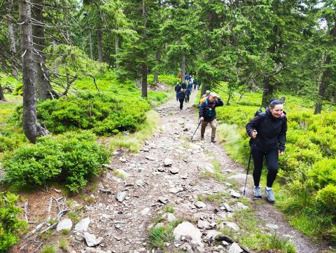 Wycieczka w Masyw Śnieżnika s84 - PTTK Strzelin