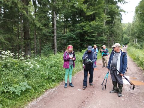 Wycieczka w Masyw Śnieżnika s91 - PTTK Strzelin
