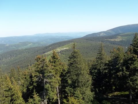 Czarna G�ra - widok z wie�y widokowej s005 - PTTK Strzelin