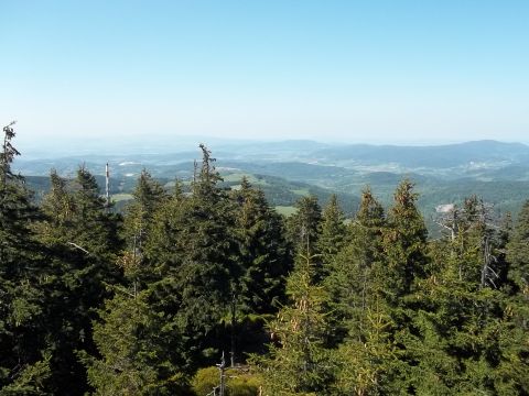 Czarna G�ra - widok z wie�y widokowej s012 - PTTK Strzelin