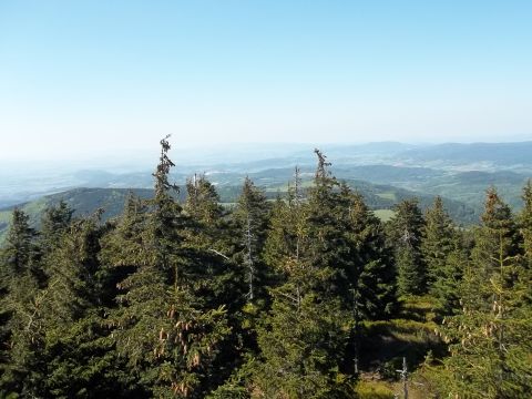 Czarna G�ra - widok z wie�y widokowej s013 - PTTK Strzelin