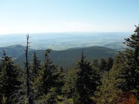 Czarna G�ra - widok z wie�y widokowej s016 - PTTK Strzelin