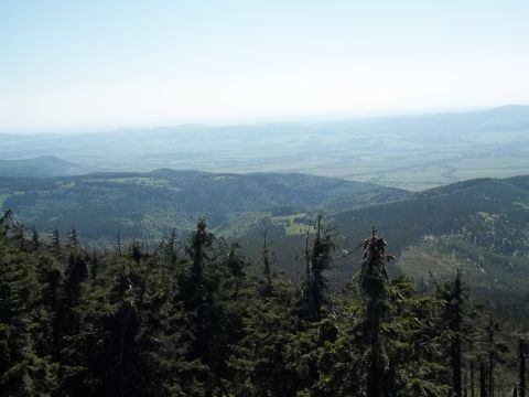 Czarna G�ra - widok z wie�y widokowej s018 - PTTK Strzelin