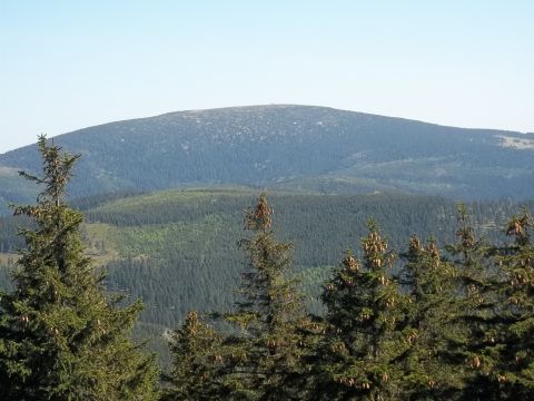 Czarna G�ra - widok z wie�y widokowej s020 - PTTK Strzelin