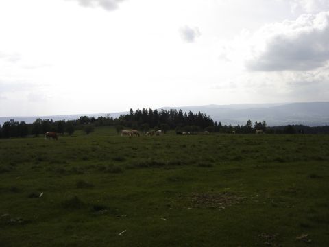 Jod��w - O�rodek Wypoczynkowy 'Ostoja' s027 - PTTK Strzelin