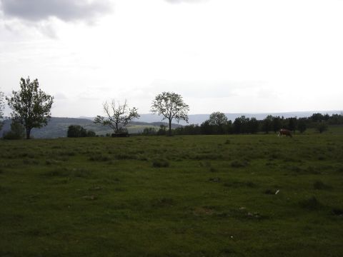 Jod��w - O�rodek Wypoczynkowy 'Ostoja' s028 - PTTK Strzelin