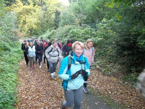 Wycieczka w Góry Sowie s2 - PTTK Strzelin