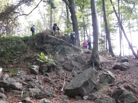 Wycieczka w Góry Sowie s47 - PTTK Strzelin