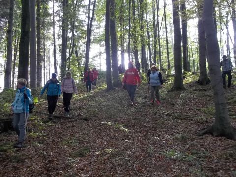 Wycieczka w Góry Sowie s48 - PTTK Strzelin