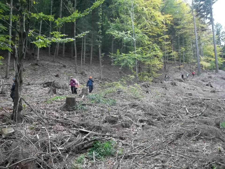 Wycieczka w Góry Sowie s002 - PTTK Strzelin