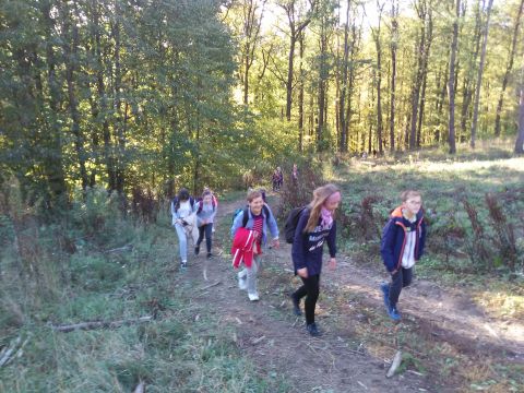 Wycieczka w Góry Sowie s11 - PTTK Strzelin