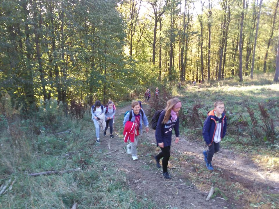 Wycieczka w Góry Sowie s002 - PTTK Strzelin