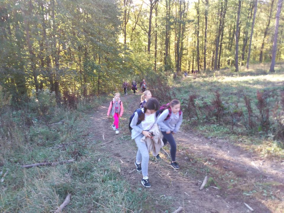 Wycieczka w Góry Sowie s002 - PTTK Strzelin