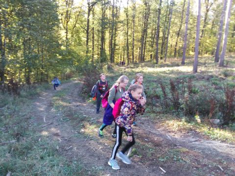 Wycieczka w Góry Sowie s13 - PTTK Strzelin