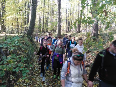 Wycieczka w Góry Sowie s17 - PTTK Strzelin