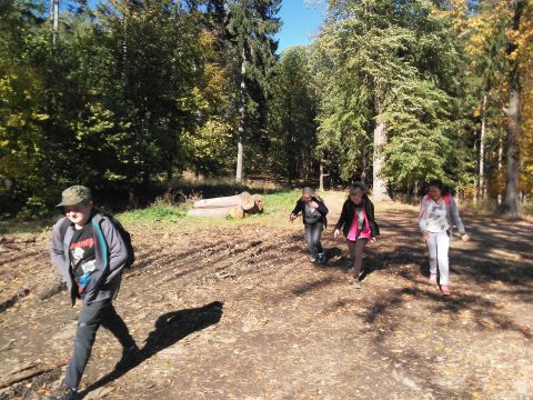 Wycieczka w Góry Sowie s32 - PTTK Strzelin