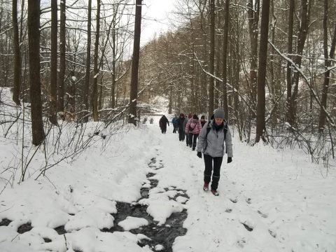 Wycieczka w Góry Sowie s14 - PTTK Strzelin