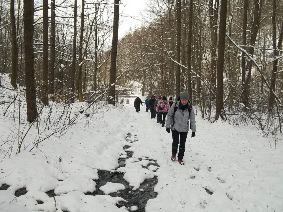 Wycieczka w Góry Sowie s002 - PTTK Strzelin